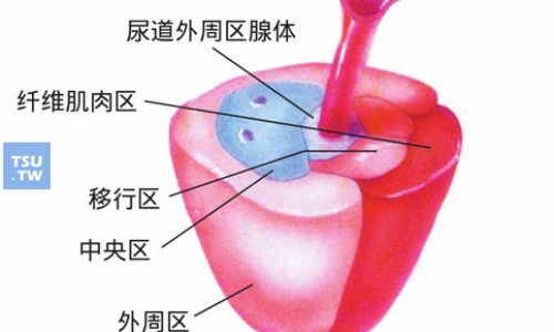 奥拉西坦胶囊多少钱一盒-权威奥拉西坦主治什么平台,分享专业奥拉西坦主治功能知识_奥拉西坦胶囊主治什么网