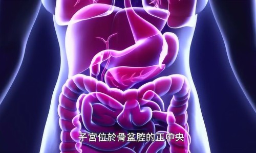 奥拉西坦主治功能-权威奥拉西坦主治什么平台,分享专业奥拉西坦主治功能知识_奥拉西坦胶囊主治什么网